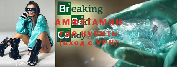 хмурый Аркадак