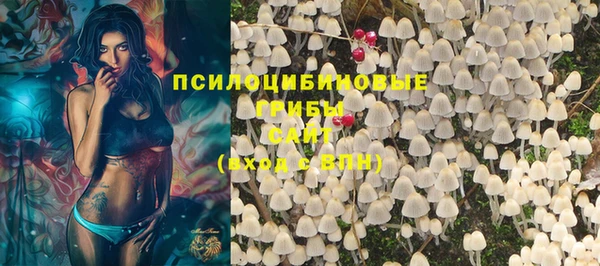 Альфа ПВП Арсеньев