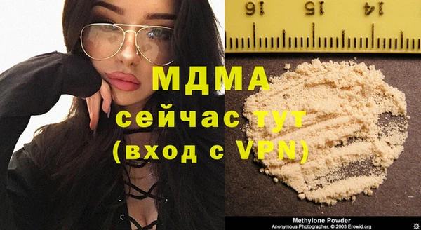 хмурый Аркадак