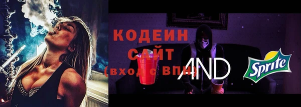 хмурый Аркадак