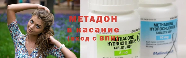 хмурый Аркадак