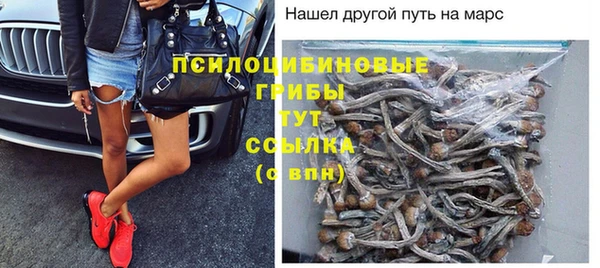 прущие крисы Алзамай