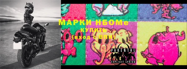 хмурый Аркадак