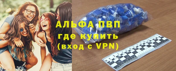 хмурый Аркадак