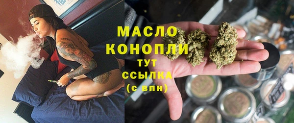 хмурый Аркадак