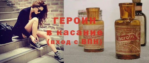 хмурый Аркадак