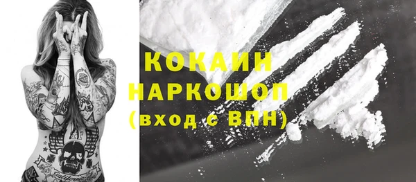 хмурый Аркадак