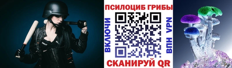 Псилоцибиновые грибы Psilocybe Чернушка