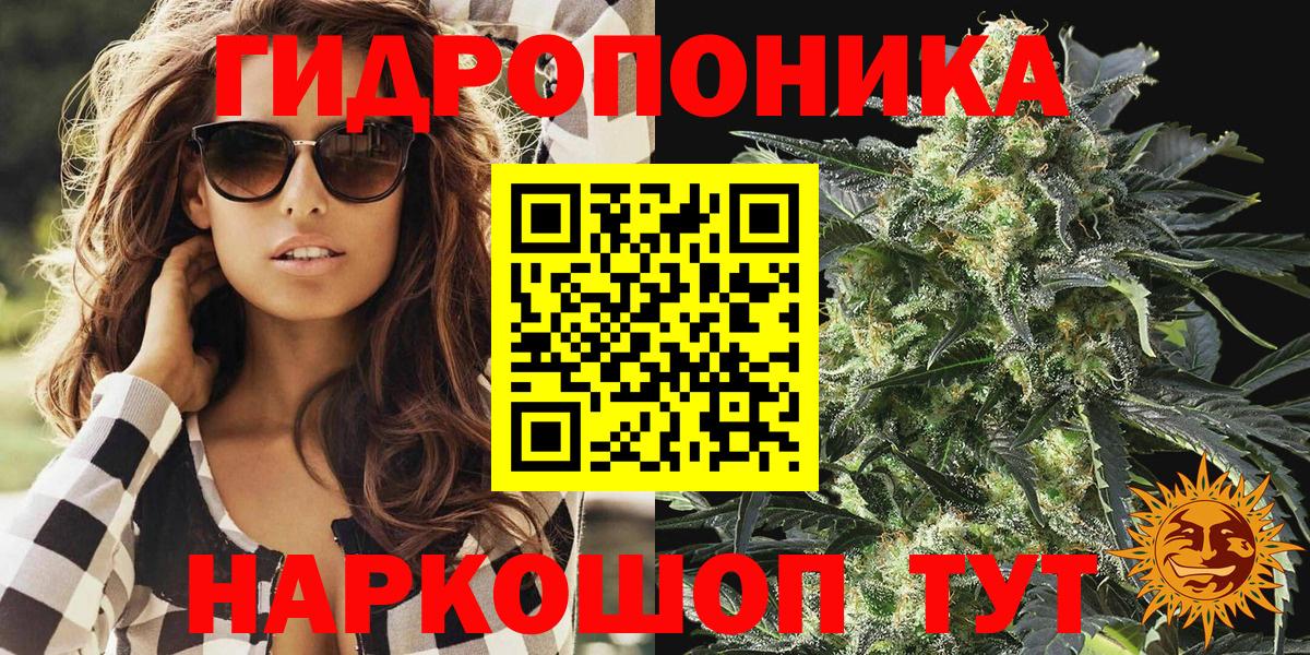 Чернушка  МАРИХУАНА OG Kush  Бошки Шишки семена  Бошки марихуана индика  Вход с VPN 